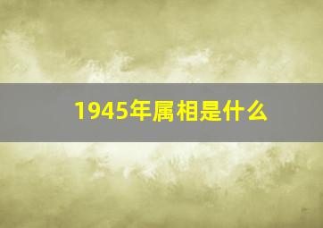 1945年属相是什么