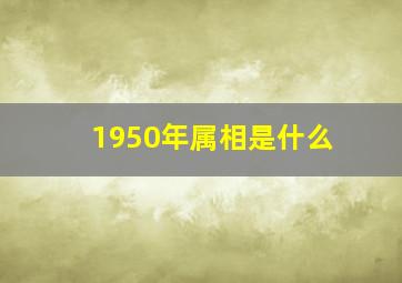 1950年属相是什么