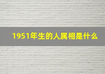 1951年生的人属相是什么