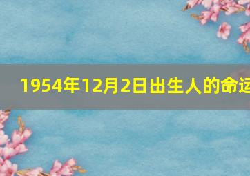 1954年12月2日出生人的命运