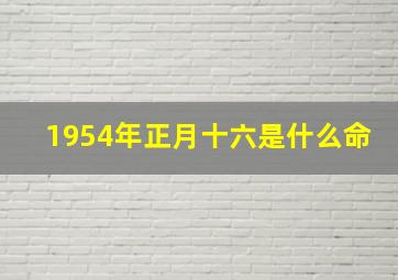 1954年正月十六是什么命