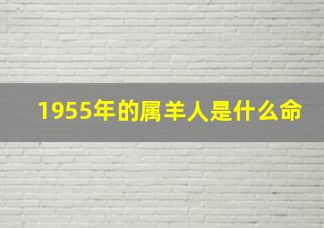 1955年的属羊人是什么命