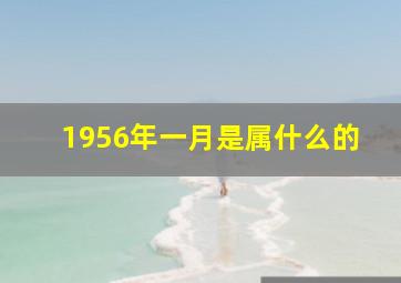 1956年一月是属什么的