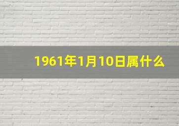 1961年1月10日属什么