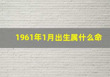 1961年1月出生属什么命