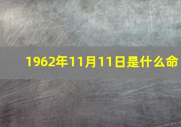 1962年11月11日是什么命