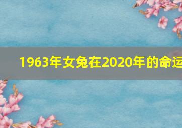 1963年女兔在2020年的命运