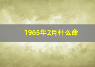 1965年2月什么命