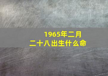 1965年二月二十八出生什么命