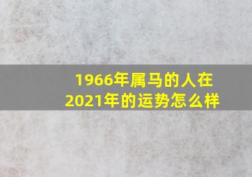 1966年属马的人在2021年的运势怎么样