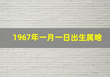 1967年一月一日出生属啥