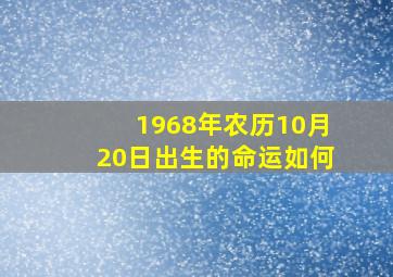 1968年农历10月20日出生的命运如何