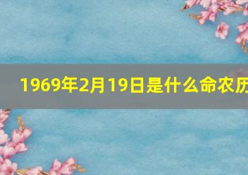 1969年2月19日是什么命农历