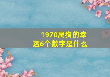 1970属狗的幸运6个数字是什么