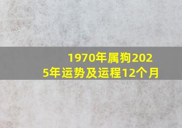 1970年属狗2025年运势及运程12个月