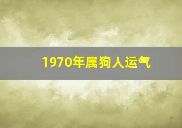 1970年属狗人运气