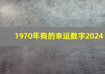 1970年狗的幸运数字2024