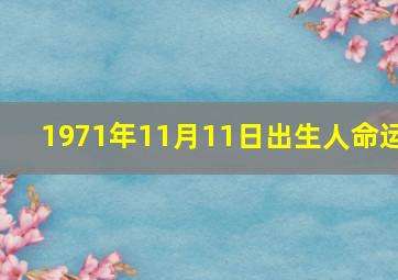 1971年11月11日出生人命运