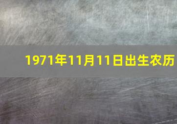 1971年11月11日出生农历