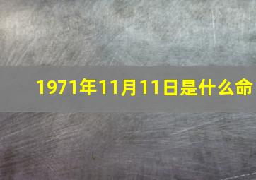 1971年11月11日是什么命