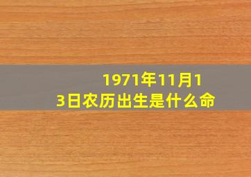 1971年11月13日农历出生是什么命