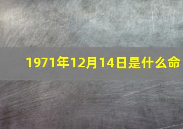 1971年12月14日是什么命