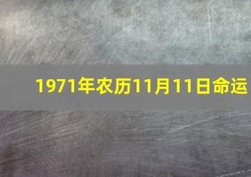 1971年农历11月11日命运