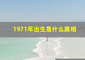 1971年出生是什么属相