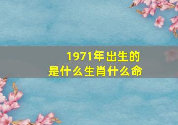 1971年出生的是什么生肖什么命