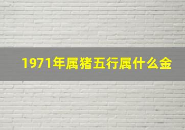 1971年属猪五行属什么金