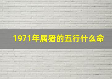 1971年属猪的五行什么命