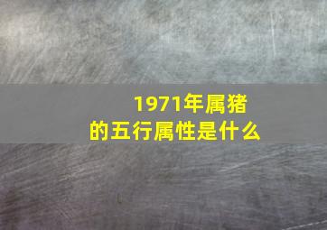 1971年属猪的五行属性是什么