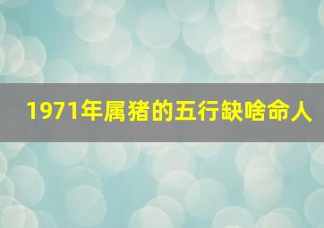 1971年属猪的五行缺啥命人