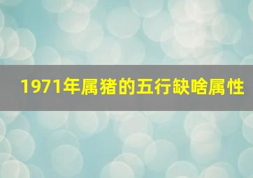 1971年属猪的五行缺啥属性