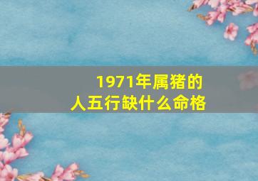 1971年属猪的人五行缺什么命格