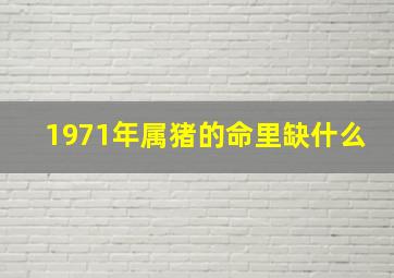 1971年属猪的命里缺什么