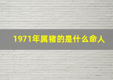 1971年属猪的是什么命人