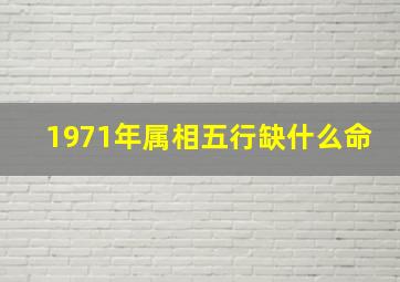 1971年属相五行缺什么命