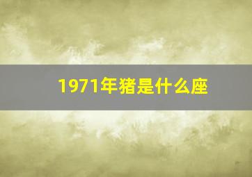 1971年猪是什么座