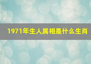 1971年生人属相是什么生肖