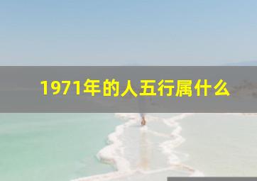 1971年的人五行属什么