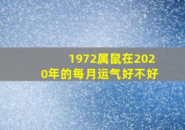 1972属鼠在2020年的每月运气好不好