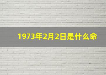 1973年2月2日是什么命