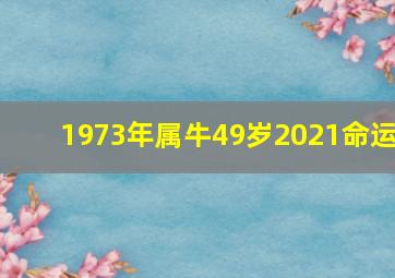 1973年属牛49岁2021命运