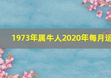 1973年属牛人2020年每月运