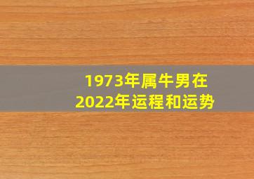 1973年属牛男在2022年运程和运势