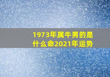 1973年属牛男的是什么命2021年运势