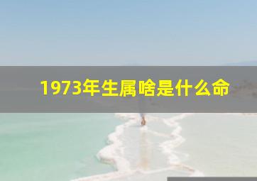 1973年生属啥是什么命