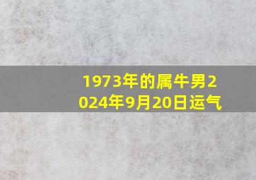 1973年的属牛男2024年9月20日运气