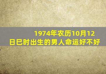 1974年农历10月12日巳时出生的男人命运好不好